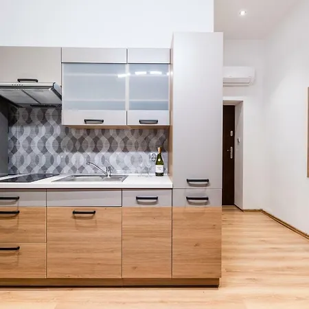 アパートホテル Dietla 32 - Ideal Location In The Heart Of Krakow, Between Main Square And Kazimierz District 2*