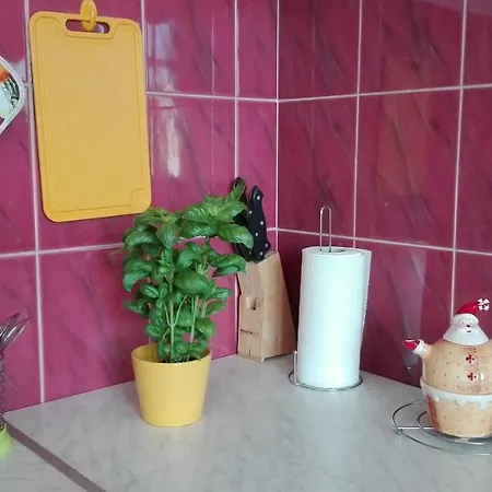 Apartment Krakowski Styl Krakau