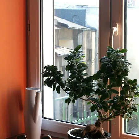 Apartament Stare Podgorze Apartment