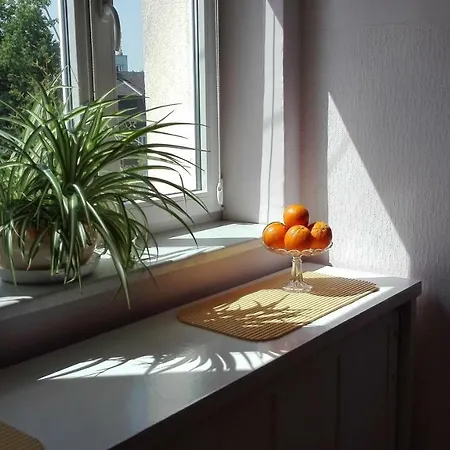 Apartment Krakowski Styl Krakow