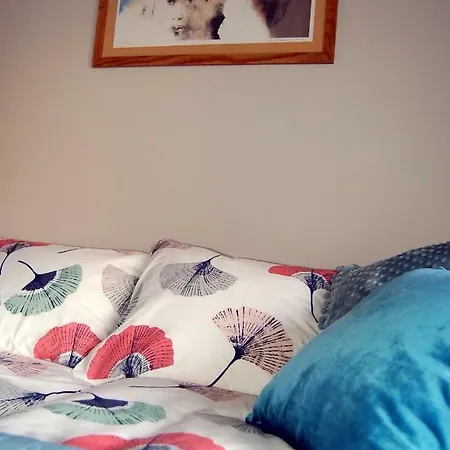 Apartmán Friedleina 7 Kamienica Prezydencka Krakov