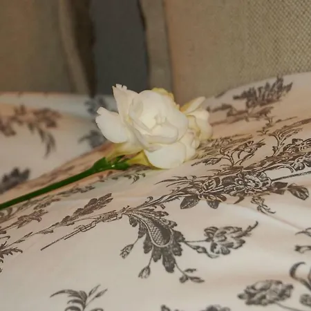Apartmán Friedleina 7 Kamienica Prezydencka