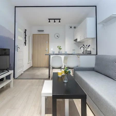 Ws Concept House 公寓 克拉科夫