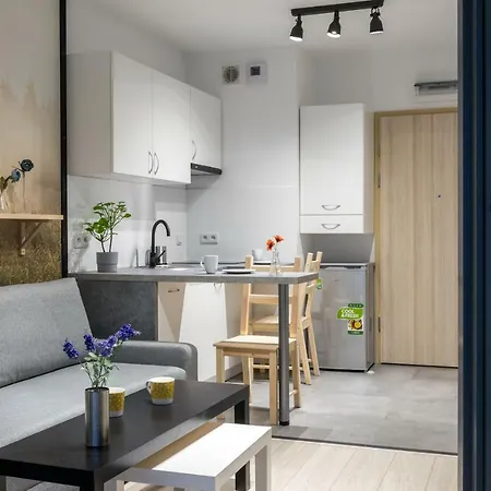 Ws Concept House 公寓 克拉科夫