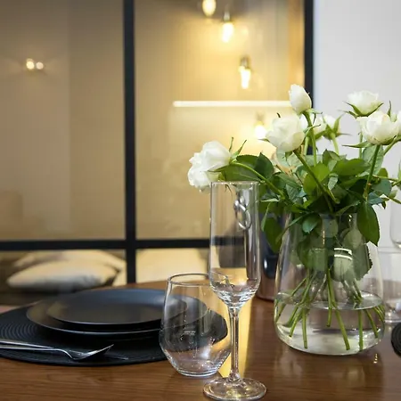 Vienna Studio Cracow Apartment *