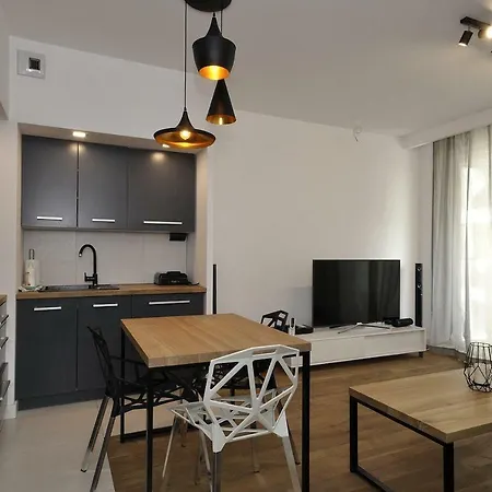 Διαμέρισμα Apartament Zablocie Riverside Wawelofts Krasków