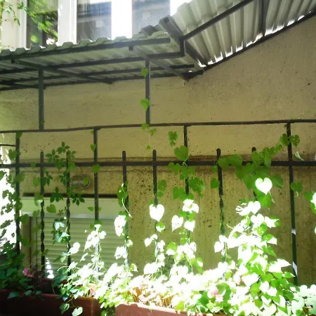 Apartment Berko