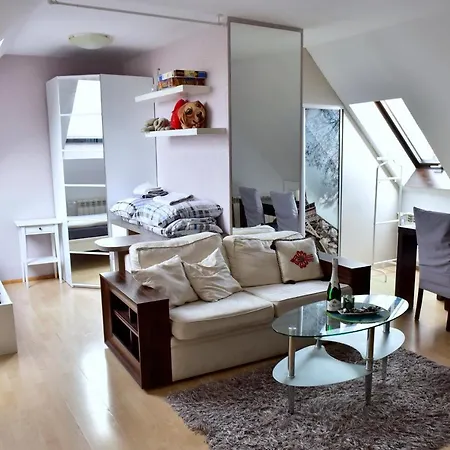 Apartment Poddasze Dla Aktywnych
