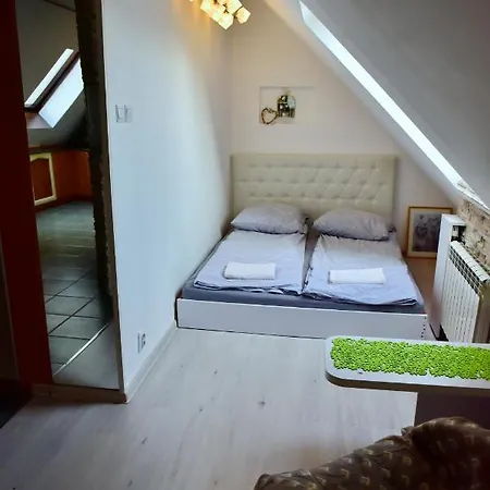 Apartment Poddasze Dla Aktywnych Krakow