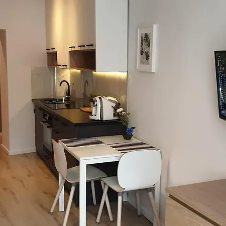 Comfortable Close To The Center Apartment Krakow
