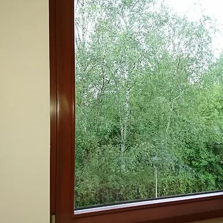 Quiet And Spacious With Garage Option Apartment *