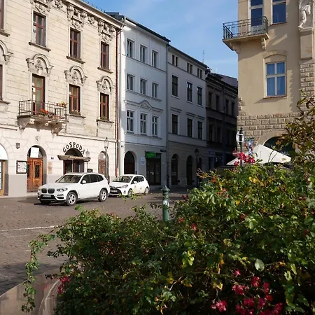 Ermine Aparthotel 3*