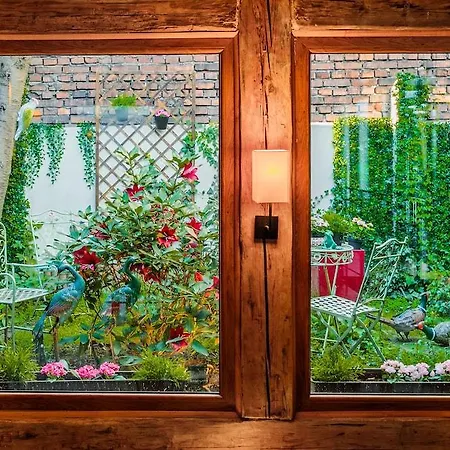 Art & Garden 3* Krakov