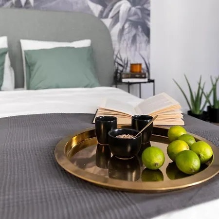 Lion - Premium With Balcony * Cracovia