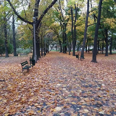 Apartamento Kieszonka Dla Singla *