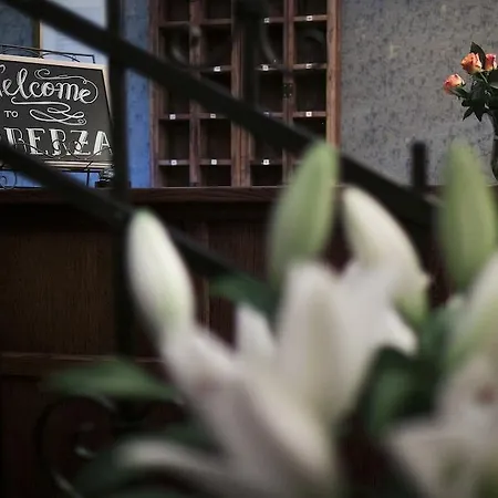 酒店 Oberza Sasiadow