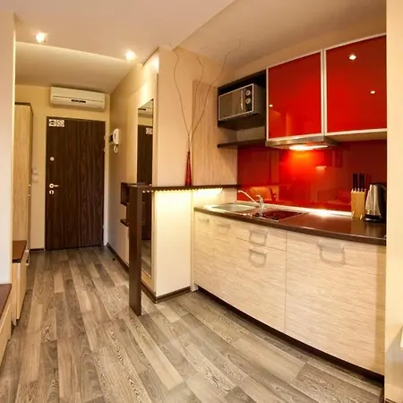 Stay Here * Cracovia
