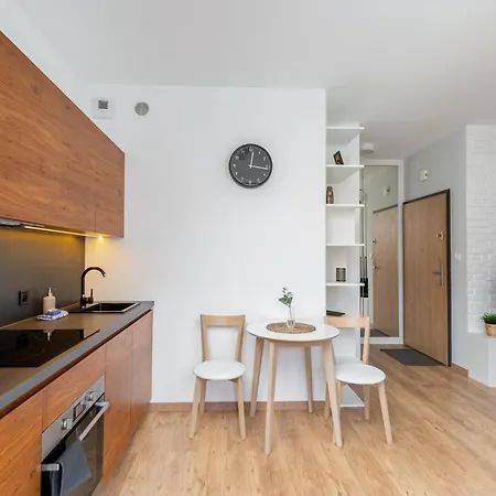 Cracow Novum #58 Appartement Krakau