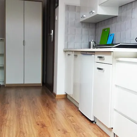 Nice Attic Studio Close To Old Town Air Conditioning - Klimatyzacja *