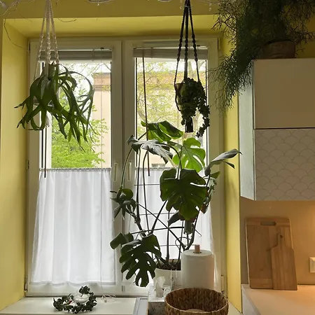 Greenthumb Praska Apartment