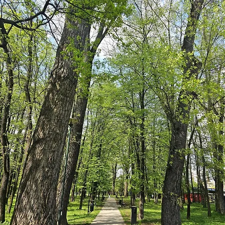 Apartament Park