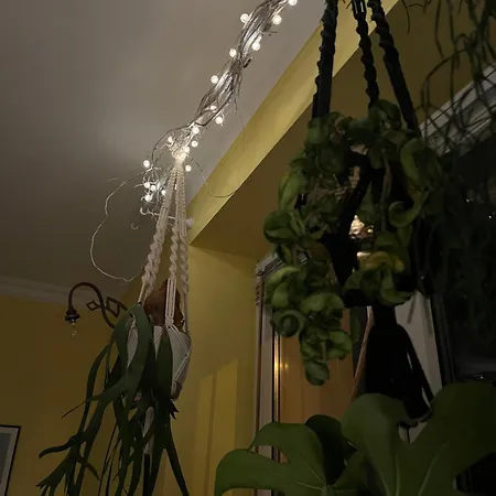 Apartment Greenthumb Praska