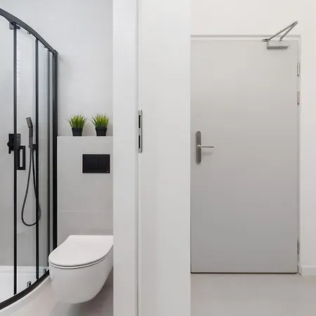 Cracow Starowislna By Renters * Krakow