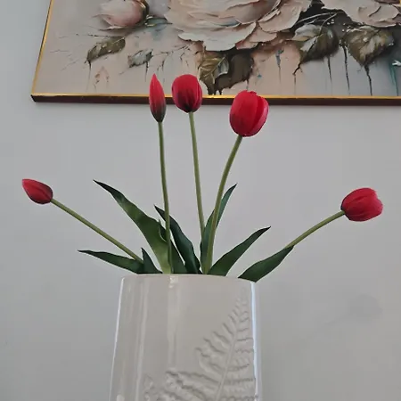 Vip Cracow Krakow