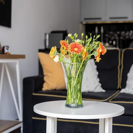 Apartment Malila Premium Cracow Lea 7b *