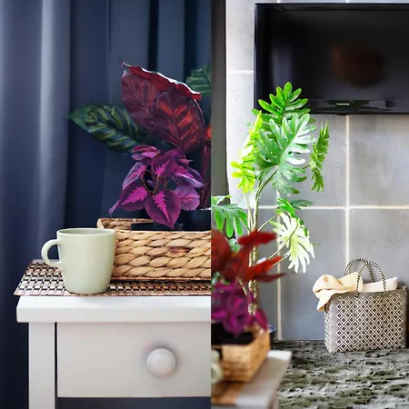 Otium Old Town Boutique