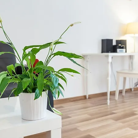 Aparthotel K22 Bonerowska 8 3*