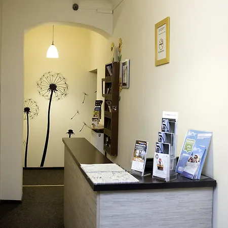 Hostal Flower