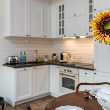 Cheerful Air Conditioned With Mezzanine And Parking - Old Town