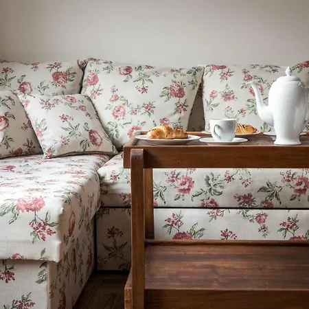 Cheerful Air Conditioned With Mezzanine And Parking - Old Town Apartment