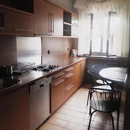 Filin Kraków