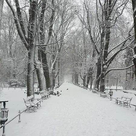 1 * Cracovia
