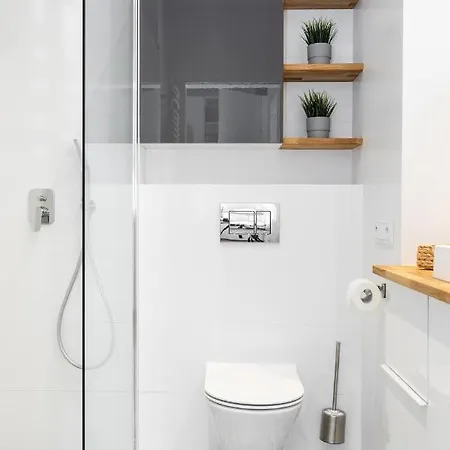 Slomnicka City Center Apartment