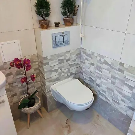 Miracool Apartament Apartment *