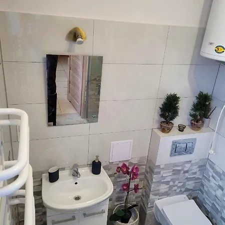 Miracool Apartament Apartment *