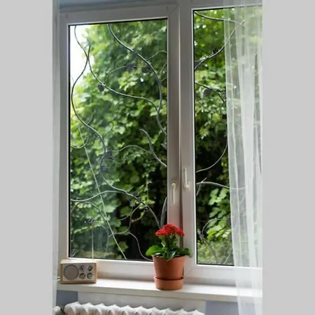 Peaceful And Relaxing Studio In The Center * Krakow