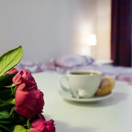 Apartment Sodispar & 3*