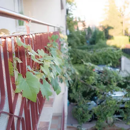 Fredry 15f Homestay Krakow