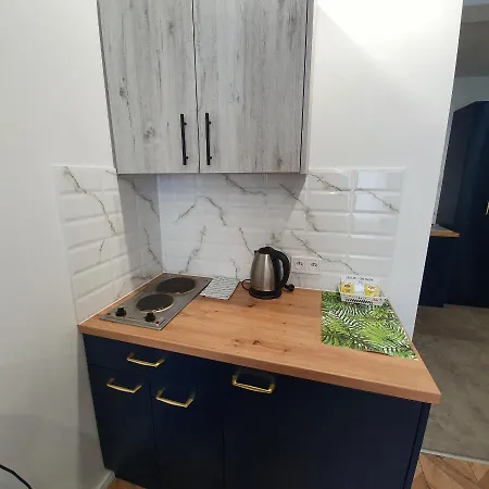 Apartament Ice *