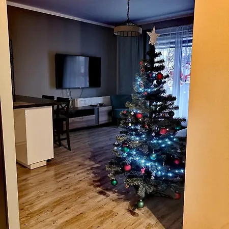 Uroczy Z Garażem