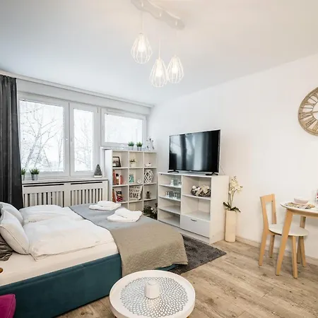 Wilenska Downtown Apartament *