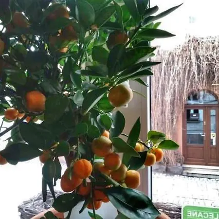 Shalom Kazimierz Aparthotel 3*