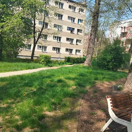 Wilenska Downtown *