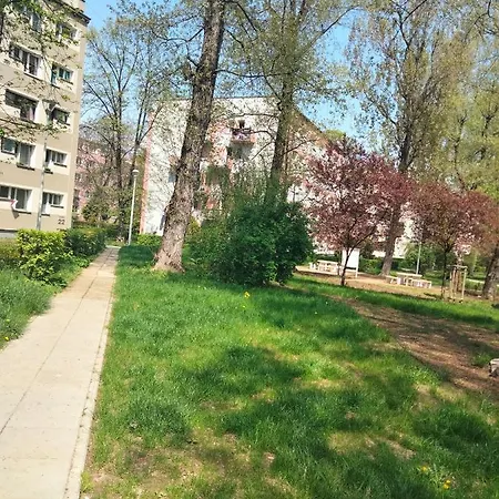 Wilenska Downtown Kraków