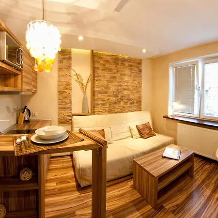 Stay Here Apartment Krakow