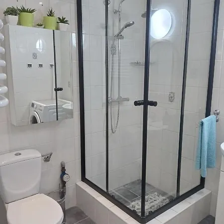 Apartament Secesja *